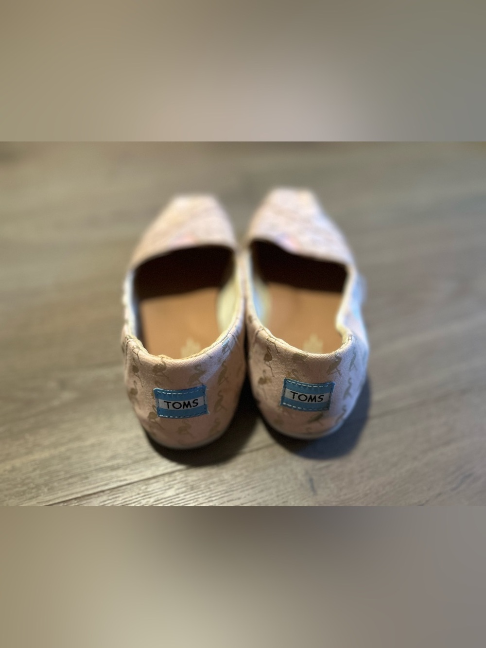 EUC Toms Flamingo Classics - Picture 9 of 14